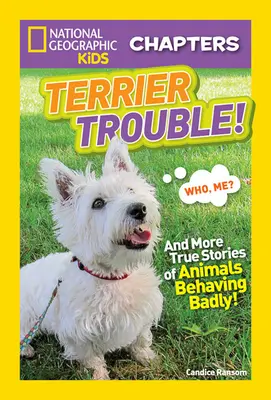 Terrier baj!: És még több igaz történet rosszul viselkedő állatokról - Terrier Trouble!: And More True Stories of Animals Behaving Badly