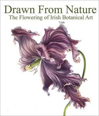 A természetből merítve: Az ír botanikus művészet virágzása - Drawn from Nature: The Flowering of Irish Botanical Art