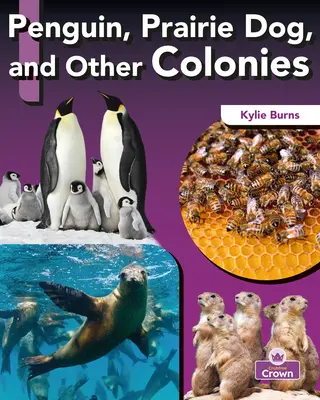 Pingvin, prérikutya és más kolóniák - Penguin, Prairie Dog, and Other Colonies