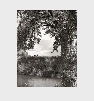 Robert Adams: Adams: Cottonwoods - Robert Adams: Cottonwoods