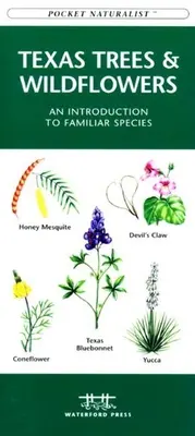 Virginia Madarak: A Folding Pocket Guide to Familiar Species - Virginia Birds: A Folding Pocket Guide to Familiar Species