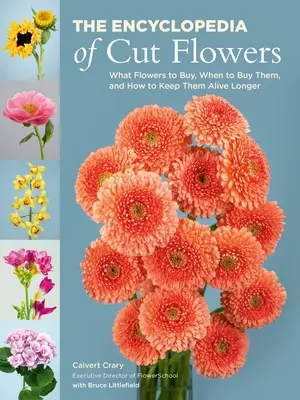 A vágott virágok enciklopédiája: Milyen virágokat vegyünk, mikor vegyük meg őket, és hogyan tartsuk őket hosszabb ideig életben - The Encyclopedia of Cut Flowers: What Flowers to Buy, When to Buy Them, and How to Keep Them Alive Longer