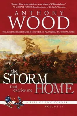 A vihar, amely hazavisz: A polgárháború története - The Storm That Carries Me Home: A Story of the Civil War