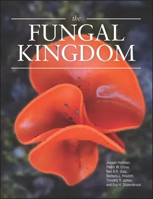 A gombák birodalma - The Fungal Kingdom