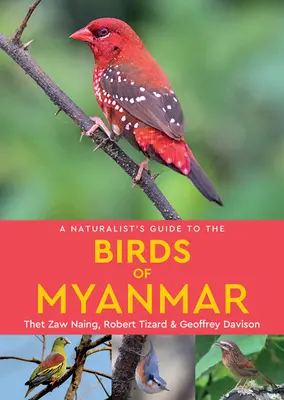 A természettudós kalauza Mianmar madaraihoz - A Naturalist's Guide to the Birds of Myanmar