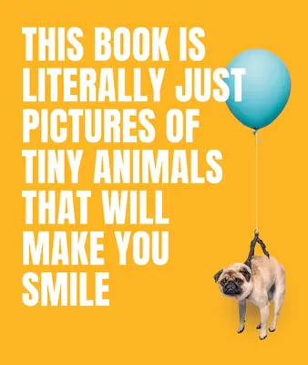 Ez a könyv szó szerint csak apró állatok képei, amelyek mosolyra fakasztják az embert - This Book Is Literally Just Pictures of Tiny Animals That Will Make You Smile