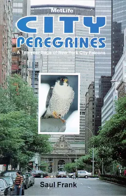 City Peregrines: A New York-i sólymok tízéves története - City Peregrines: A Ten-Year Saga of New York Falcons