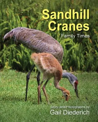 Homoki darvak, családi idők - Sandhill Cranes, Family Times