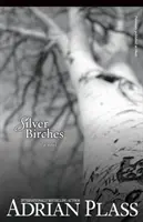 Silver Birches