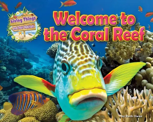 Üdvözöljük a korallzátonyon - Welcome to the Coral Reef