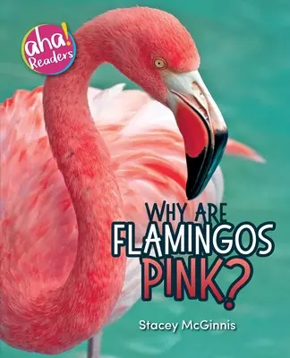 Miért rózsaszínűek a flamingók? - Why Are Flamingos Pink?