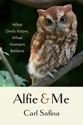 Alfie és én: Amit a baglyok tudnak, amit az emberek hisznek - Alfie and Me: What Owls Know, What Humans Believe