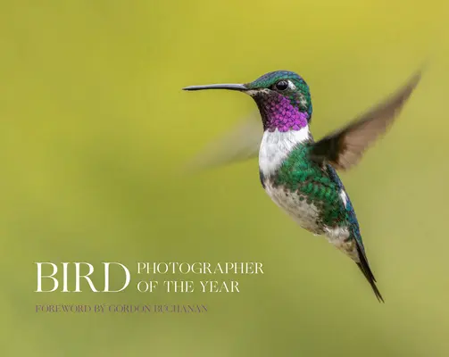 Az év madárfotósa - Bird Photographer of the Year