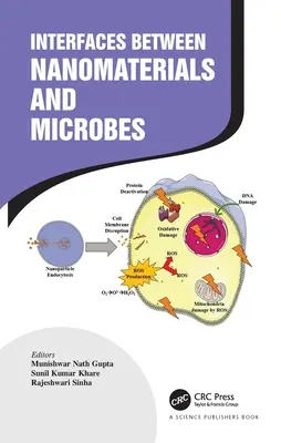 Nanoanyagok és mikrobák közötti határfelületek - Interfaces Between Nanomaterials and Microbes
