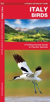 Olaszország Madarak - Egy összecsukható zsebkönyv az ismerős fajokról - Italy Birds - A Folding Pocket Guide to Familiar Species