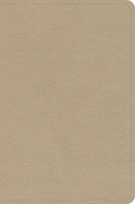 CSB Large Print Compact Reference Bible, Arany bőrkárpitozású, nagyméretű, kompakt referencia Biblia - CSB Large Print Compact Reference Bible, Gold Leathertouch