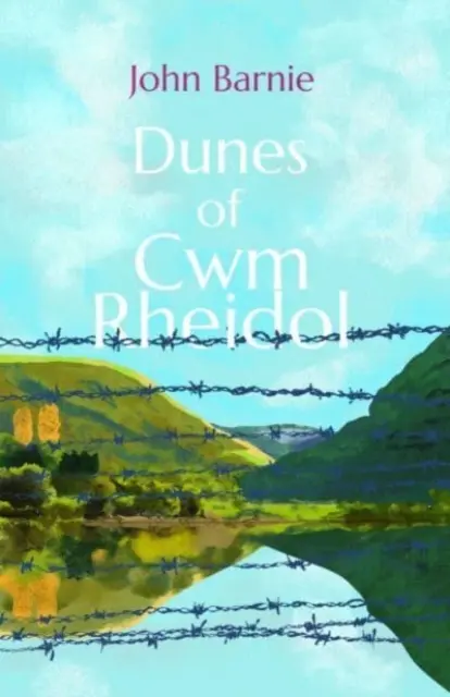 Cwm Rheidol dűnéi - Dunes of Cwm Rheidol