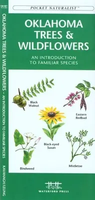 Virginia Trees & Wildflowers: An Introduction to Familiar Species