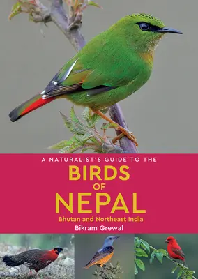 A természettudós kalauza Nepál madaraihoz - A Naturalist's Guide to the Birds of Nepal