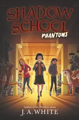 Árnyékiskola #3: Fantomok - Shadow School #3: Phantoms