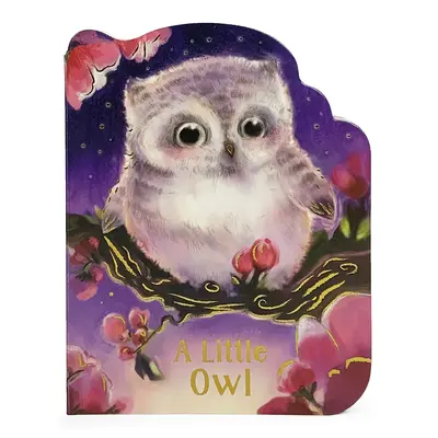 Egy kis bagoly - A Little Owl