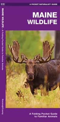 Maine Wildlife: A Folding Pocket Guide to Familiar Species