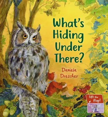 Mi rejtőzik alatta? Egy varázslatos, felemelhető könyv - What's Hiding Under There?: A Magical Lift-The-Flap Book