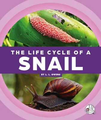 Egy csiga életciklusa - The Life Cycle of a Snail