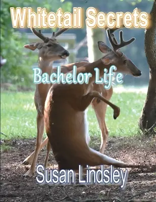 Whitetail Secrets: A legényélet - Whitetail Secrets: Bachelor Life