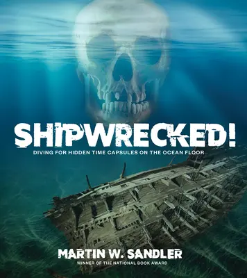 Hajótörést szenvedett! Búvárkodás az óceán fenekén elrejtett időkapszulák után - Shipwrecked!: Diving for Hidden Time Capsules on the Ocean Floor