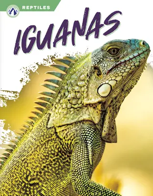 Leguánok - Iguanas