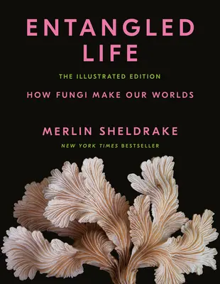 Összegabalyodott élet: The Illustrated Edition: How Fungi Make Our Worlds - Entangled Life: The Illustrated Edition: How Fungi Make Our Worlds