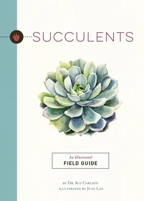 Szukkulensek: Egy illusztrált terepi útmutató - Succulents: An Illustrated Field Guide