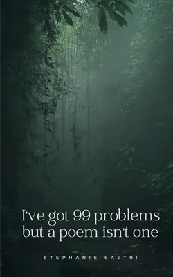 99 problémám van, de a vers nem az egyik. - I've got 99 problems but a poem isn't one