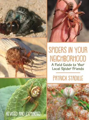 Pókok a szomszédságodban: A Field Guide to Your Local Spider Friends, Revised and Expanded (Felülvizsgált és kibővített útmutató a helyi pókbarátokhoz) - Spiders in Your Neighborhood: A Field Guide to Your Local Spider Friends, Revised and Expanded