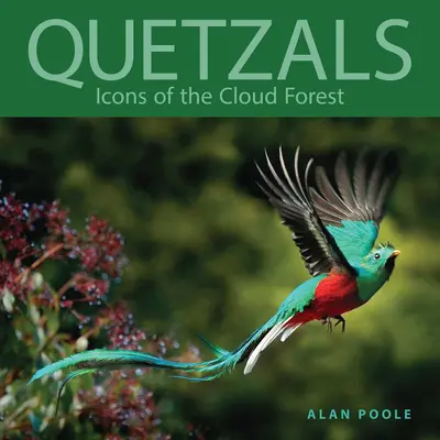 Quetzals: A felhőerdő ikonjai - Quetzals: Icons of the Cloud Forest