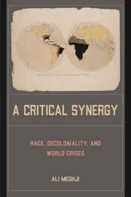 Kritikai szinergia - Faj, dekolonialitás és világválságok - A Critical Synergy - Race, Decoloniality, and World Crises