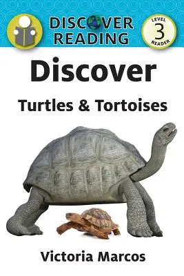 Fedezd fel a teknősöket és teknősbékákat - Discover Turtles & Tortoises
