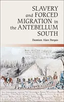 Rabszolgaság és kényszermigráció a középkor előtti délen - Slavery and Forced Migration in the Antebellum South