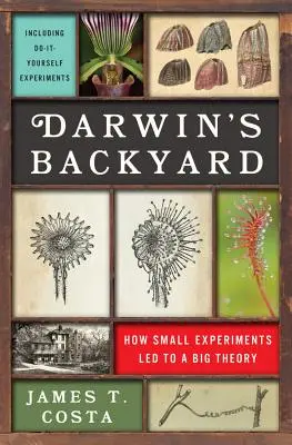 Darwin hátsó udvara: Hogyan vezettek a kis kísérletek a nagy elmélethez - Darwin's Backyard: How Small Experiments Led to a Big Theory