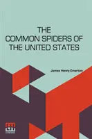 Az Egyesült Államok közönséges pókjai - The Common Spiders Of The United States