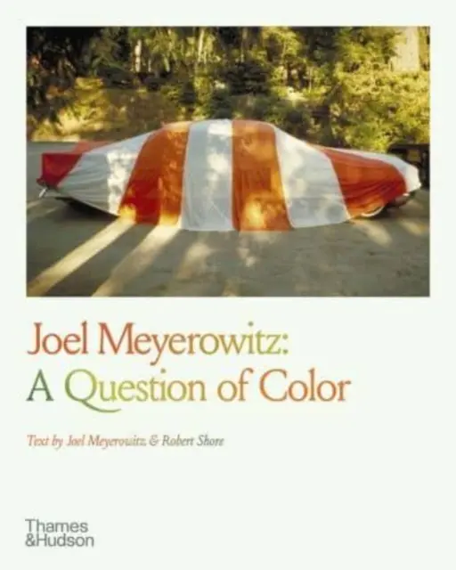 Joel Meyerowitz: Meyerowitzey: A szín kérdése - Joel Meyerowitz: A Question of Color