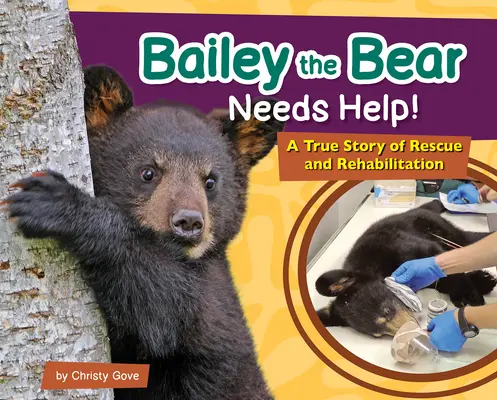 Baileynek, a medvének segítségre van szüksége!: Egy igaz történet a megmentésről és a rehabilitációról - Bailey the Bear Needs Help!: A True Story of Rescue and Rehabilitation