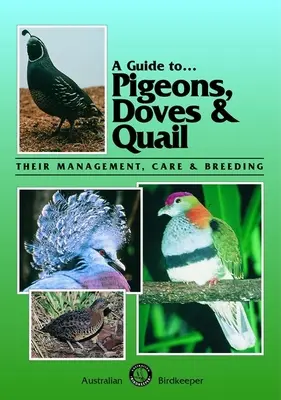 Útmutató a galambokhoz, galambokhoz és fürjekhez: Gazdálkodásuk, gondozásuk és tenyésztésük - A Guide to Pigeons, Doves & Quail: Their Management, Care & Breeding