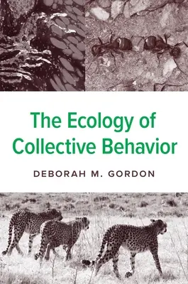 A kollektív viselkedés ökológiája - The Ecology of Collective Behavior