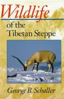 A tibeti sztyeppék élővilága - Wildlife of the Tibetan Steppe