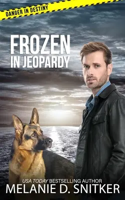 Frozen in Jeopardy: Christian Romantic Suspense