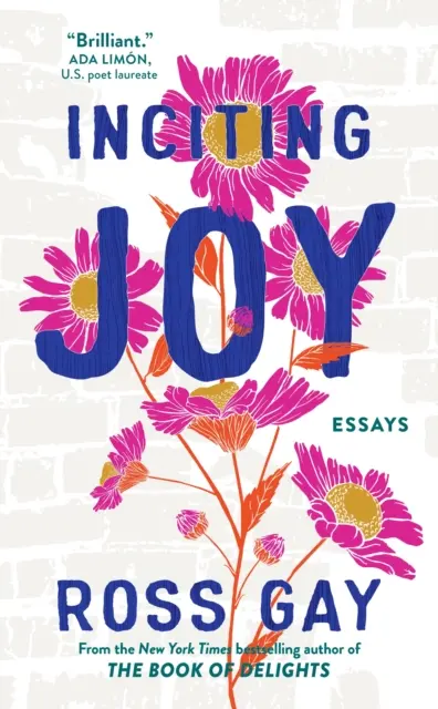 Örömre ingerlés - Esszék - Inciting Joy - Essays