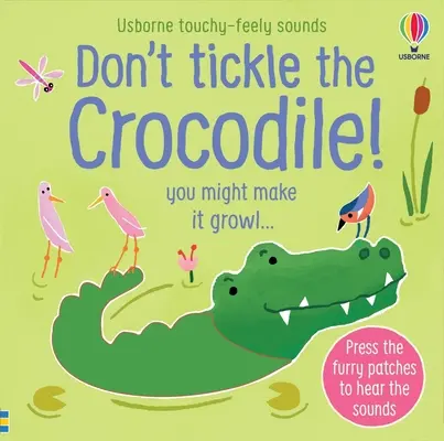 Ne csiklandozd a krokodilt! - Don't Tickle the Crocodile!