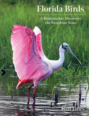 Florida madarai: Egy madarász felfedezi a napfényes államot - Florida Birds: A Birdwatcher Discovers the Sunshine State